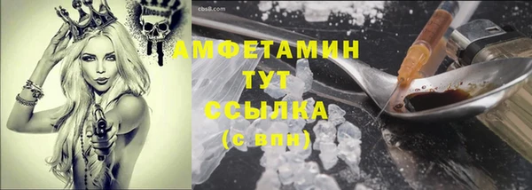 ПСИЛОЦИБИНОВЫЕ ГРИБЫ Верея