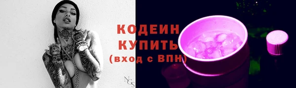 ПСИЛОЦИБИНОВЫЕ ГРИБЫ Верея