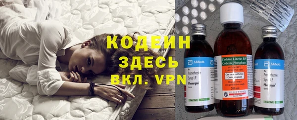 ПСИЛОЦИБИНОВЫЕ ГРИБЫ Верея