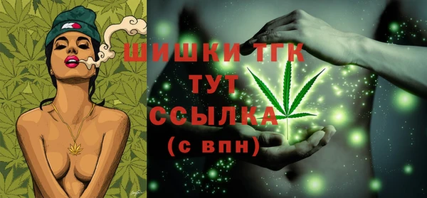 ПСИЛОЦИБИНОВЫЕ ГРИБЫ Верея