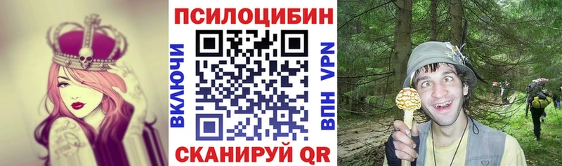 Псилоцибиновые грибы мицелий  где найти наркотики  площадка телеграм  Улан-Удэ 